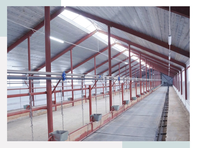 Строительство коровников в Рославле от 617 руб.