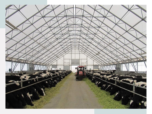 Тентовые коровники в Рославле от 617 руб. - Надежно и доступно