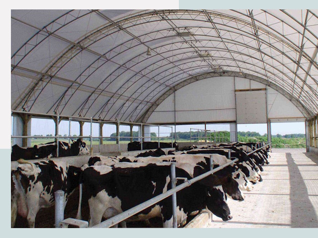 Тентовые коровники в Рославле